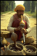 595009 Snake Charmer, Jaipur A4 Photo Print