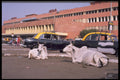 595032 Central Railway Station, New Delhi A4 Photo Print