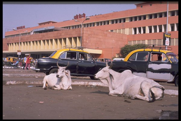 595032 Central Railway Station, New Delhi A4 Photo Print