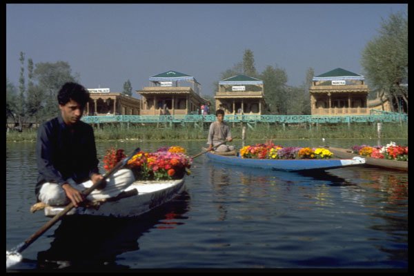 595038 Flower Sellers, Dal Lake, Kashmir A4 Photo Print