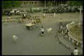 595057 Cows, Camel And People On The Street, Jodhpur A4 Photo Print