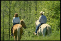 598052 Horseback Riding, Capelton, Estrie A4 Photo Print