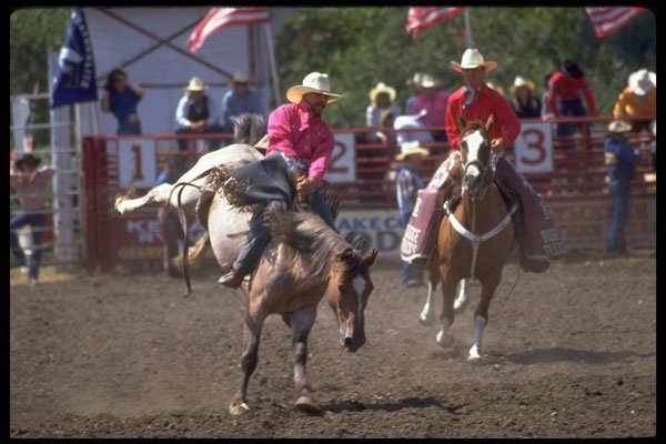 599092 Bareback Riding, Upstate N.Y. A4 Photo Print