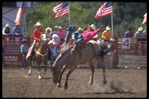 599093 Bareback Riding, Gerry Rodeo, Upstate N.Y. A4 Photo Print
