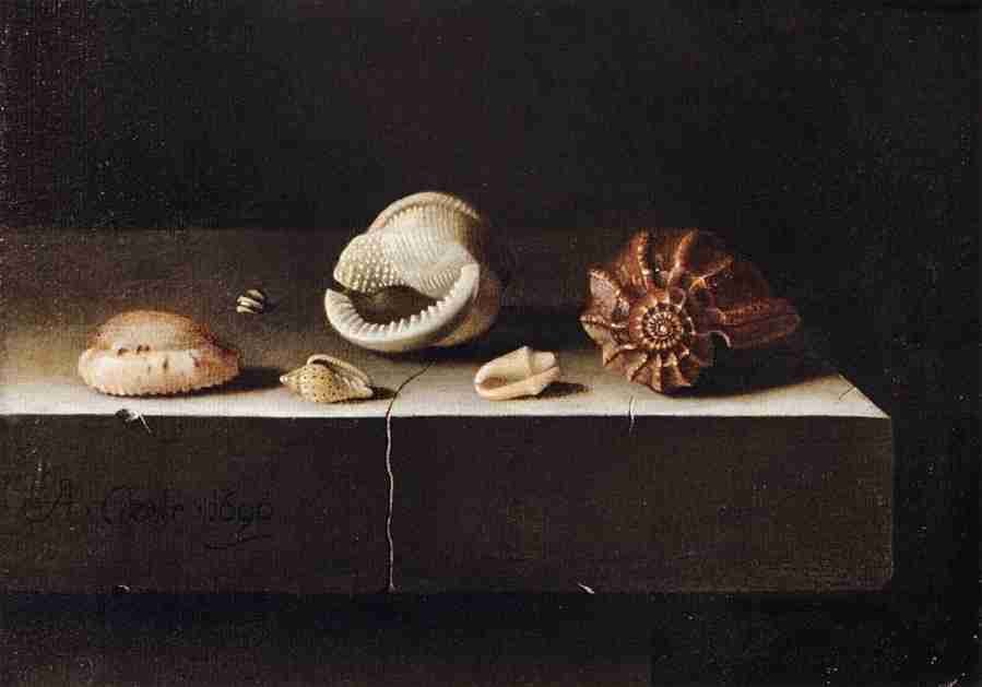 5shells Art A4 Photo Print