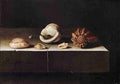 5shells Art A4 Photo Print UK