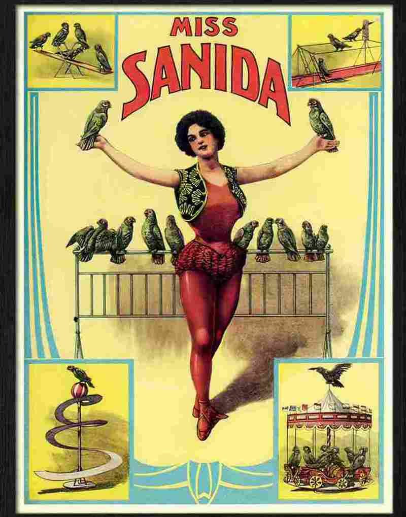 6 miss sanida circus poster 1910s Advert A4 Photo Print