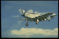 601025 F51D Mustang, D Day Markings A4 Photo Print