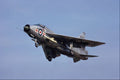 601097 Lightning T5 145 Sq. RAF Coltishall A4 Photo Print