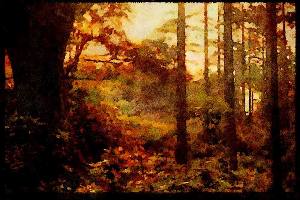 603004 Rhododendron In Quantock Forest, Somerset, England A4 Limited Edition Watercolour Print