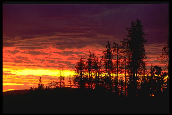 603005 Evening Sky, Yellowstone River Canyon A4 Photo Print