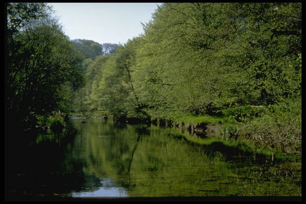 603012 River Barle, Near Dulverton, Exmoor, England A4 Photo Print