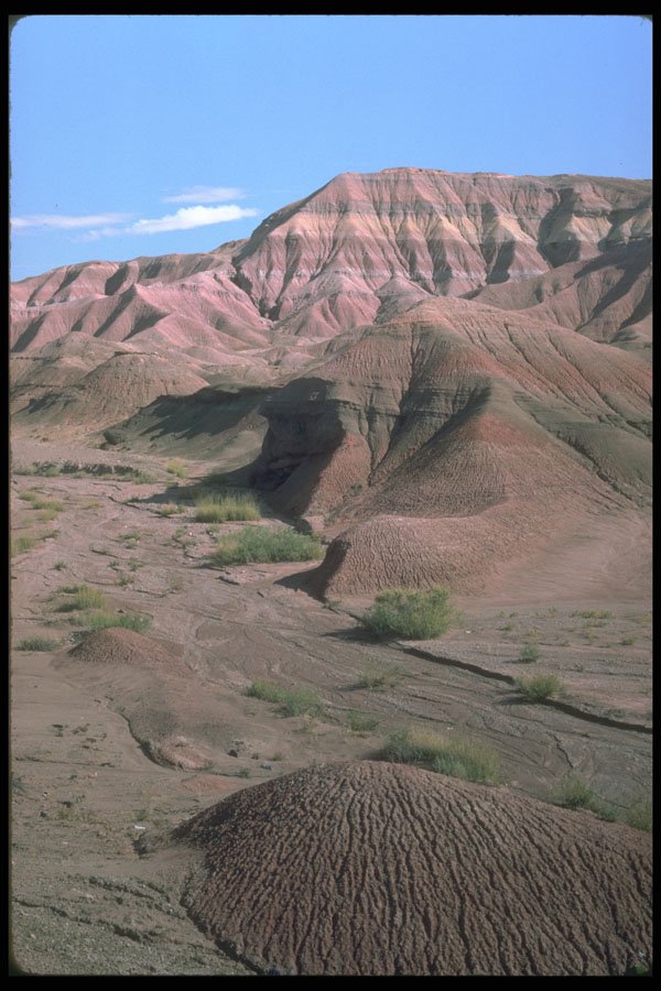 603024 Sculptured Landscape, Arizona A4 Photo Print