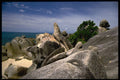 603058 The Wonderful Rock, Koh Samui Island, Thailand A4 Photo Print