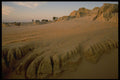603067 Carved Dunes, Mungo, Australia A4 Photo Print