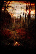 603068 Northern Swamp, Orange County, New York A4 Limited Edition Watercolour Print
