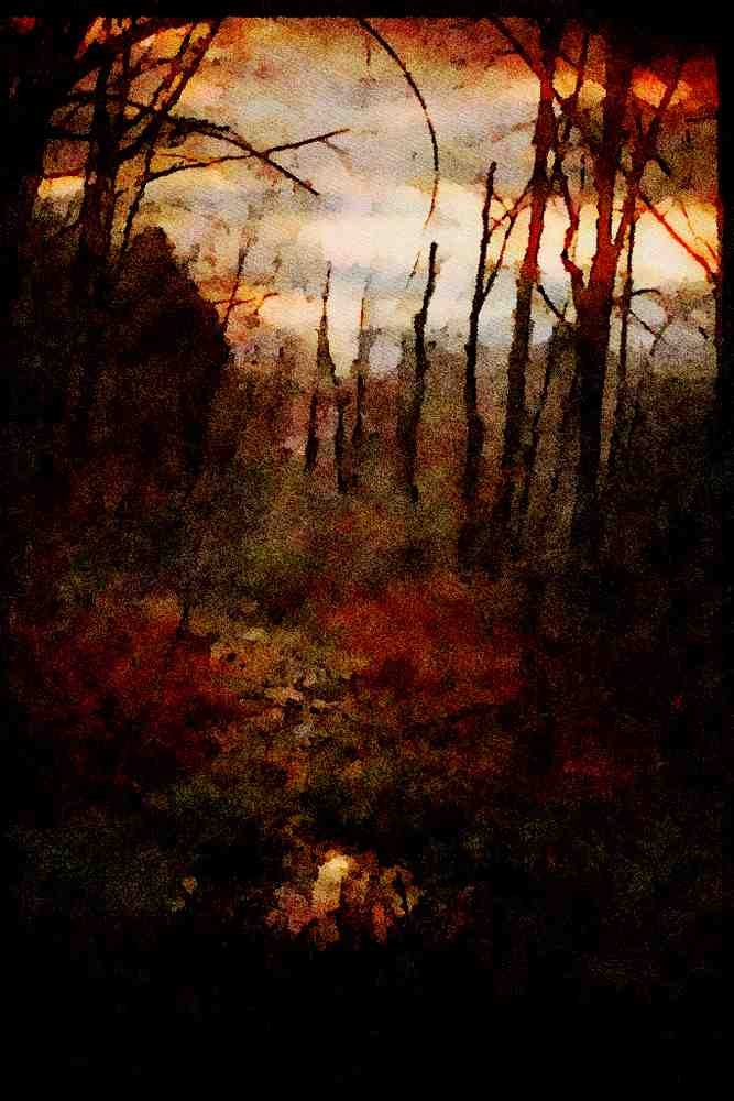 603068 Northern Swamp, Orange County, New York A4 Limited Edition Watercolour Print