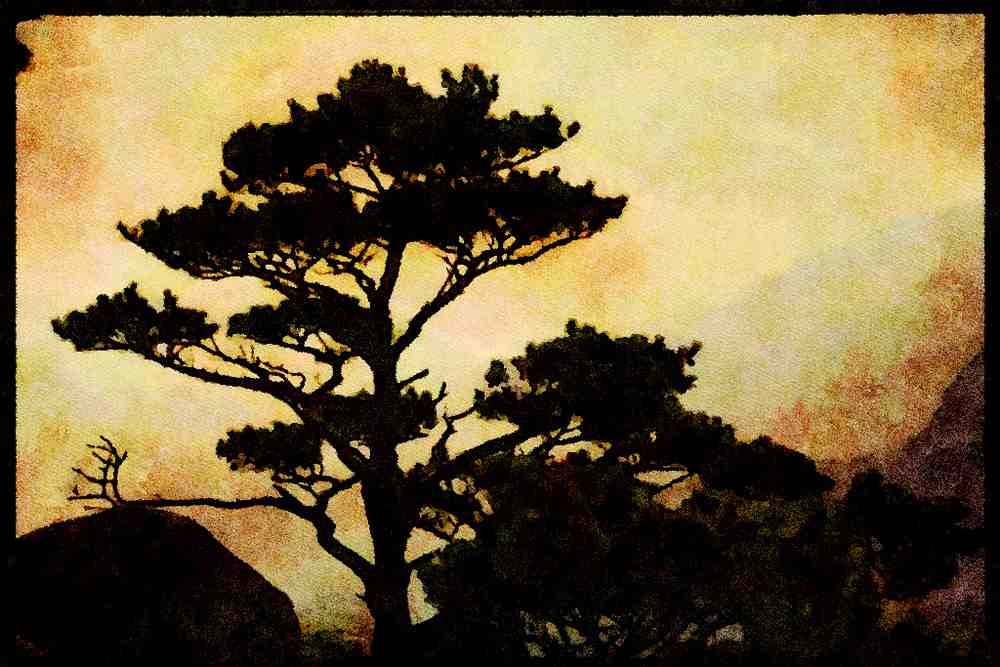603074 Landscape With Pine Tree, Korea A4 Limited Edition Watercolour Print