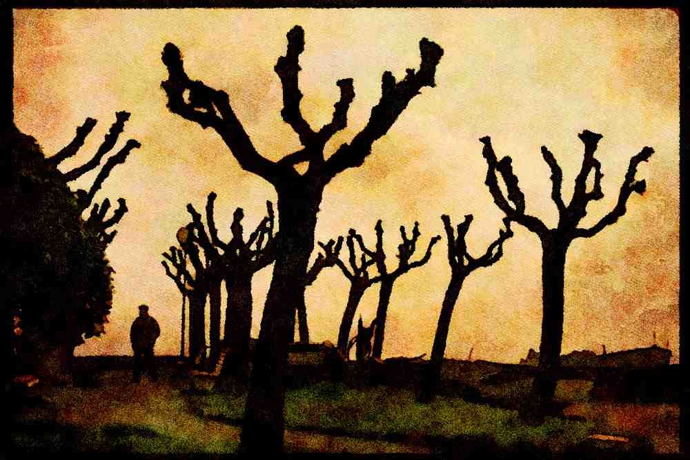 603080 Tree Formation, Italy A4 Limited Edition Watercolour Print