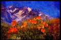 603085 Alps, France A4 Limited Edition Watercolour Print