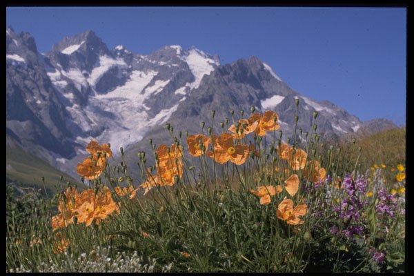 603085 Alps, France A4 Photo Print