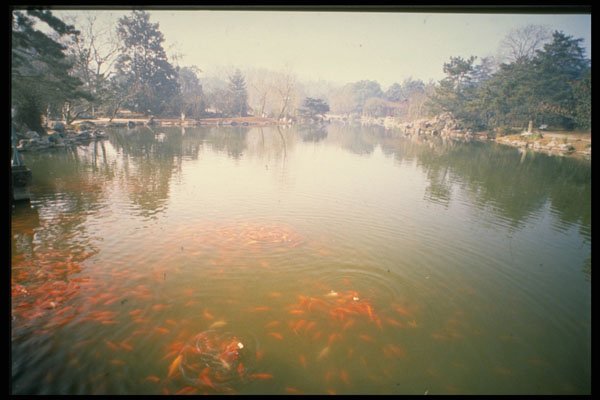 603090 West Lake, Hangzhou, China A4 Photo Print
