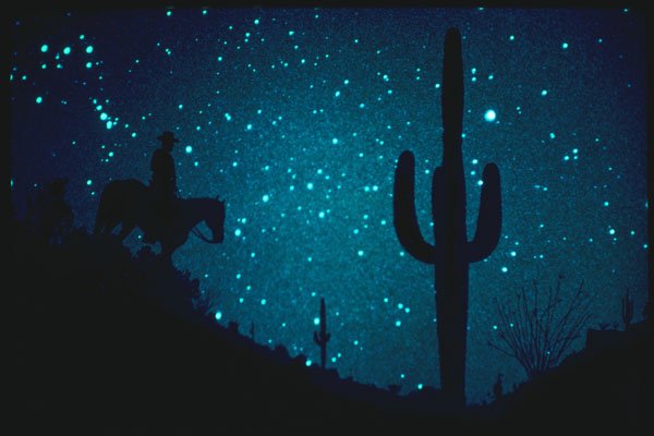 604029 Desert Night Rider, Arizona A4 Photo Print