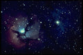604076 Starscape A4 Photo Print