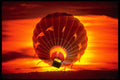 604079 Hot Air Balloon A4 Photo Print