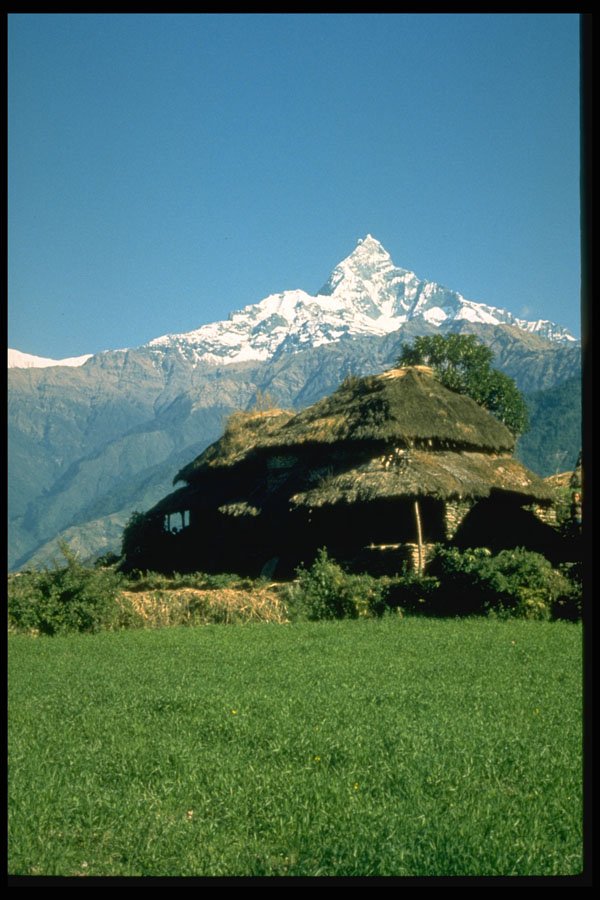 605012 Machhapuchare, Himalayas, Nepal A4 Photo Print