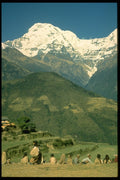605013 Annapurna South, Himalayas, Nepal A4 Photo Print