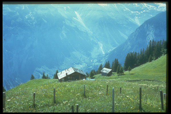 605023 Chalets Of Murren, Switzerland A4 Photo Print