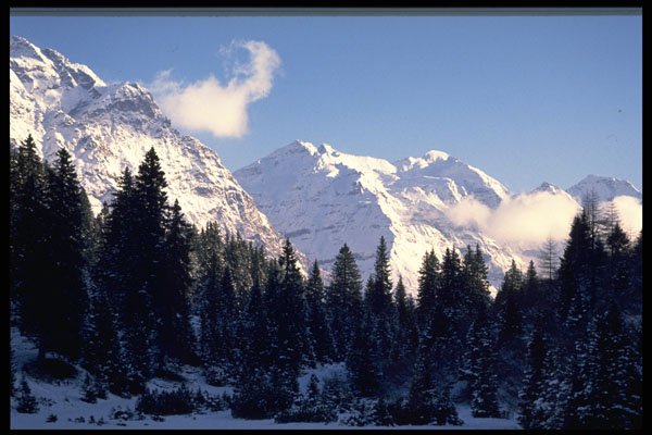 605057 Winter Wonderland, British Columbia, Canada A4 Photo Print
