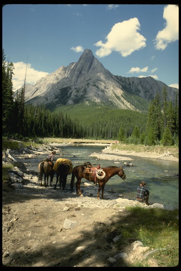 605064 Watering The Horses A4 Photo Print