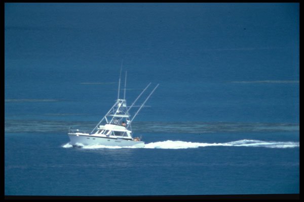 606008 Going Fishing, Bermuda A4 Photo Print