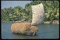 606039 Barge Carrying Hay, Kerala, India A4 Photo Print