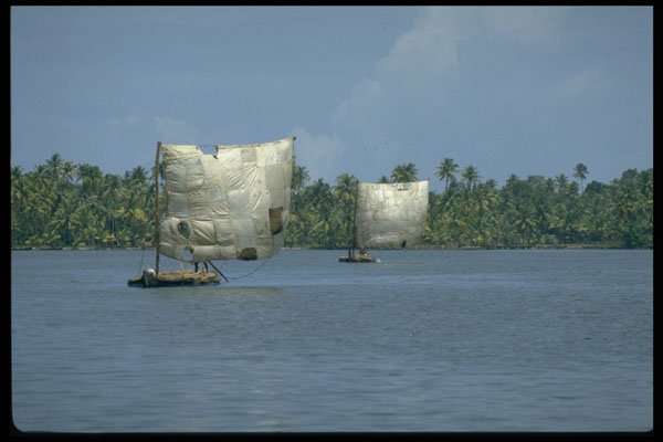 606040 Sailboats On The Backwaters, Kerala, India A4 Photo Print