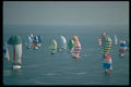 606044 Spinnaker Fleet A4 Photo Print