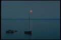 606077 Sunset On The Bay, North Carolina A4 Photo Print