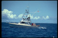 606078 Hawaiian International Billfish Tournament A4 Photo Print