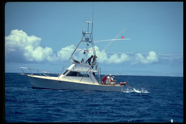 606078 Hawaiian International Billfish Tournament A4 Photo Print
