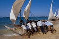 606089 Dhow Race, Zanzibar A4 Photo Print