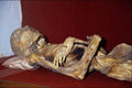 608042 Museum Of The Mummies, Guanajuato, Mexico A4 Photo Print