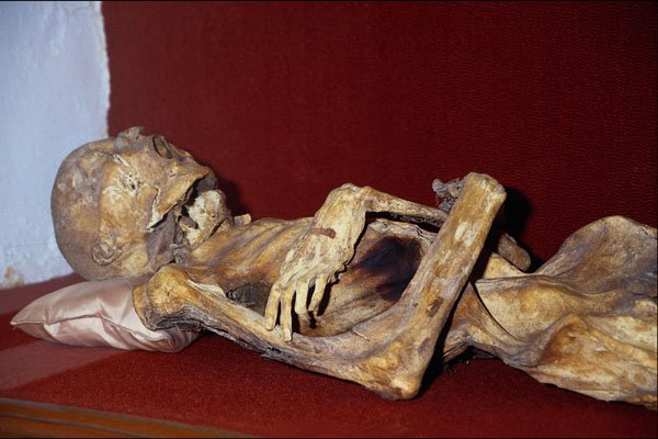 608042 Museum Of The Mummies, Guanajuato, Mexico A4 Photo Print