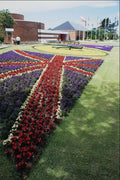 608091 Flower Clock At D Day Museum, Hants, England A4 Photo Print