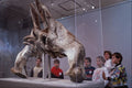 609051 Whalebone Carving From An Exhibit Of Inuit Art A4 Photo Print