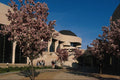 609060 Apple Blossom Trees Bloom On The Museum Site Each Spring A4 Photo Print