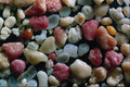 610001 Bermuda Isle A4 Photo Print