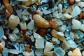610016 Singer Isle, Florida A4 Photo Print