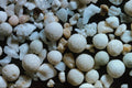 610017 Tanjung Aan, Dombok, Indonesia A4 Photo Print